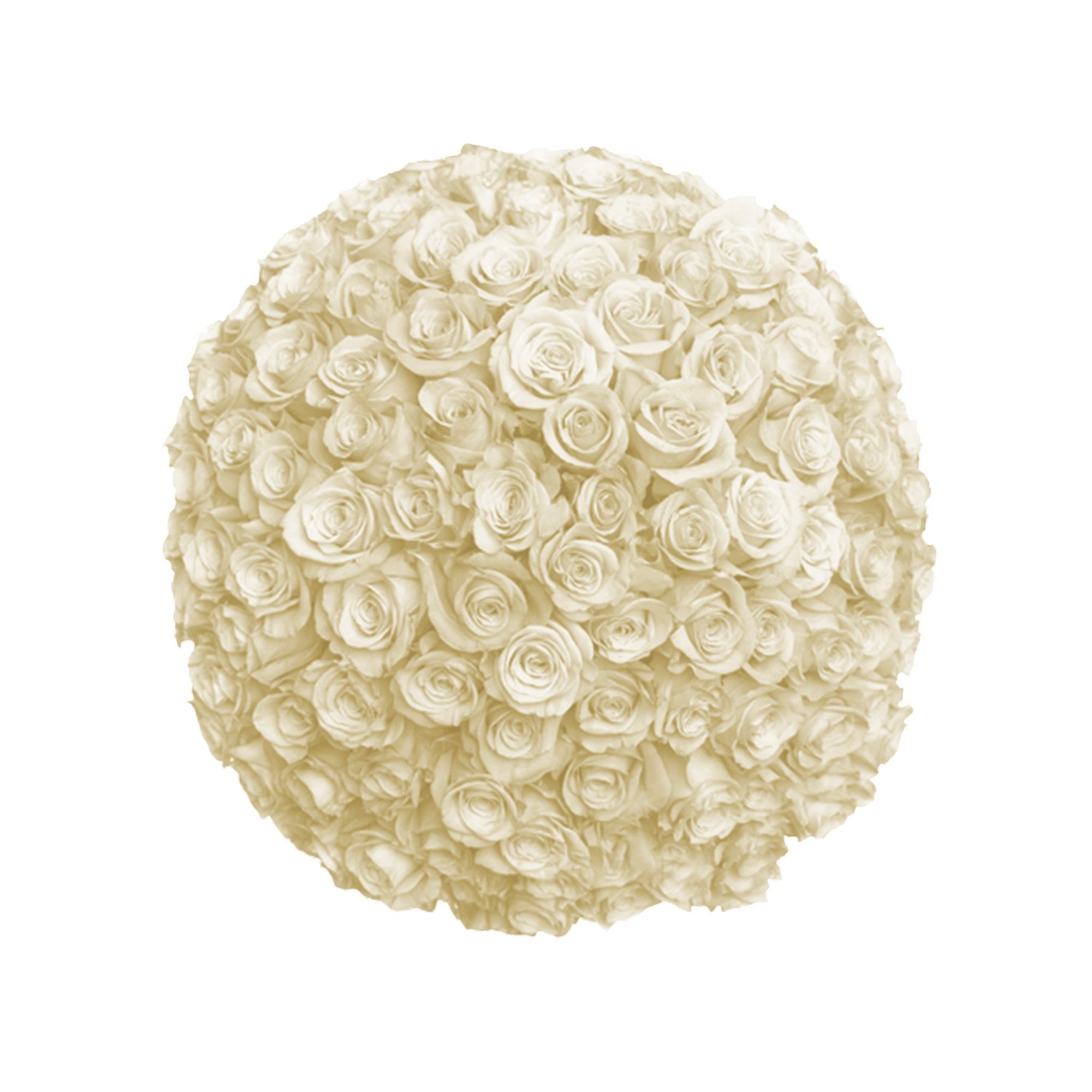 Fresh Roses in a Crystal Vase | White - 1 Dozen - Roses