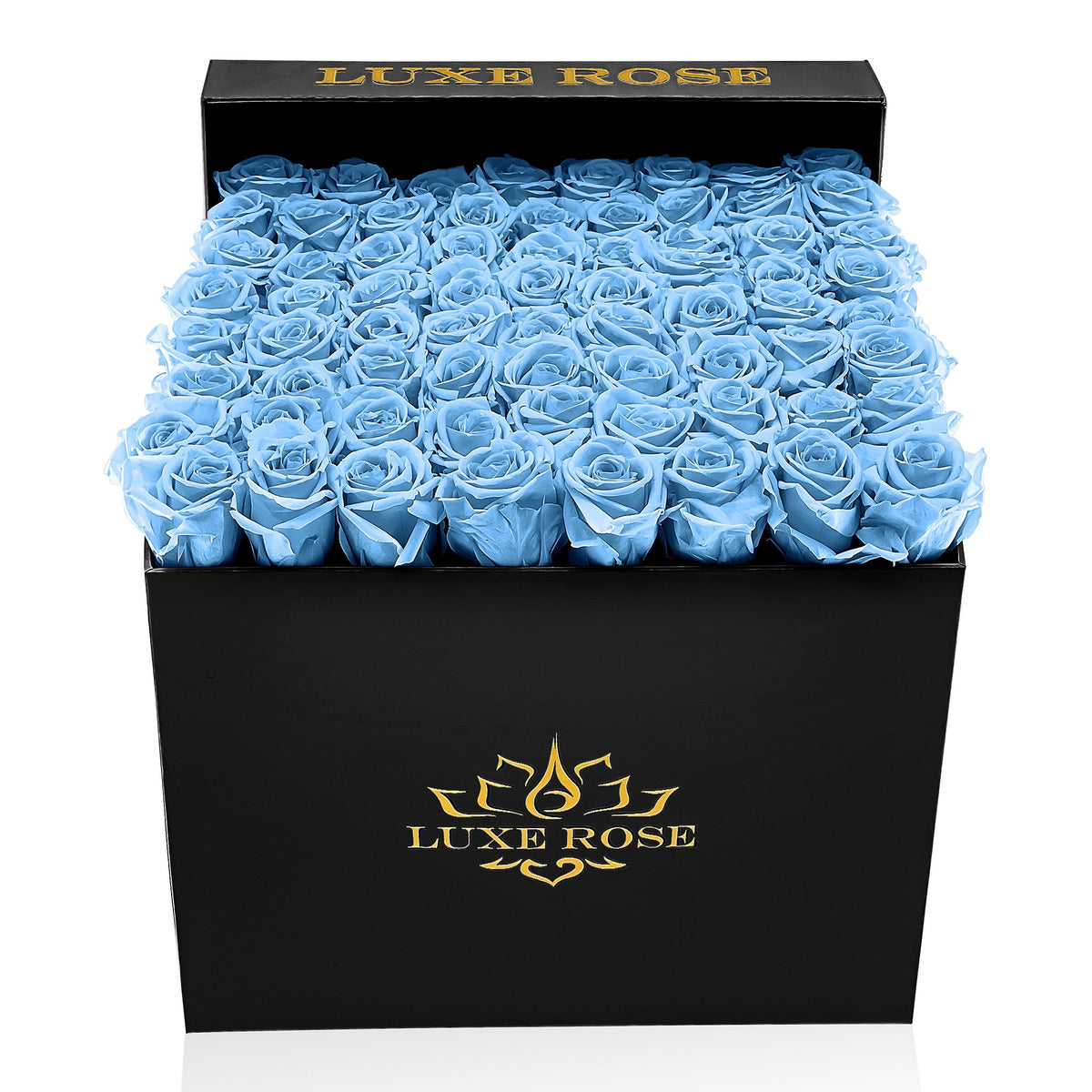 Preserved Roses Large Box | Light Blue - Black - Roses