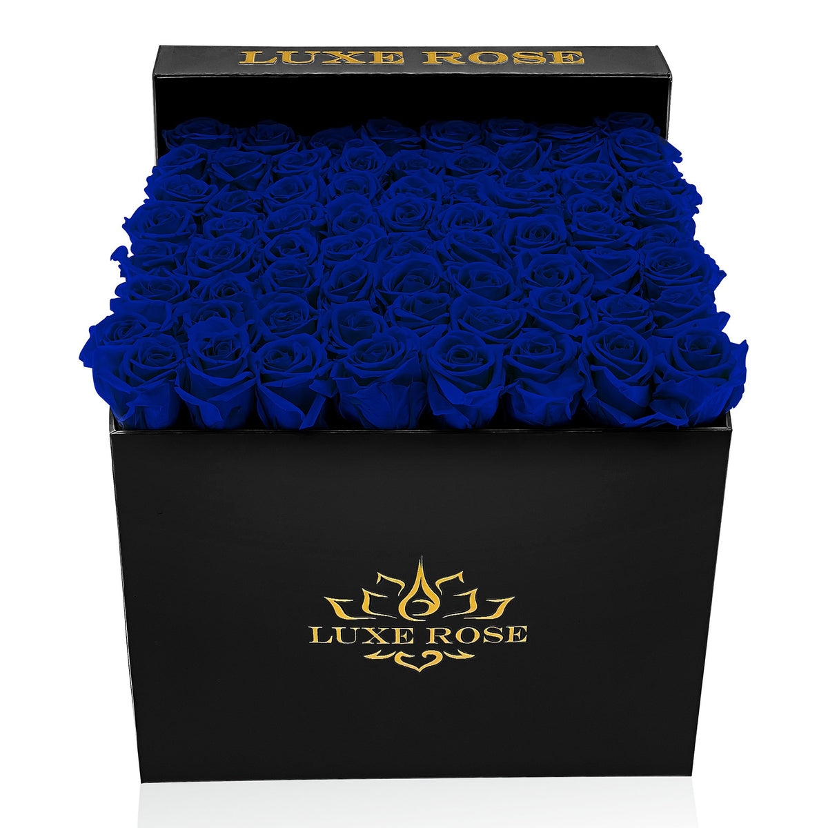 Preserved Roses Large Box | Royal Blue - Black - Roses