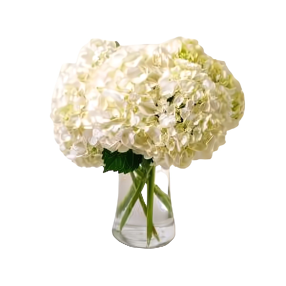Fluffy Hydrangea Bouquet - Occasions &gt; Anniversary