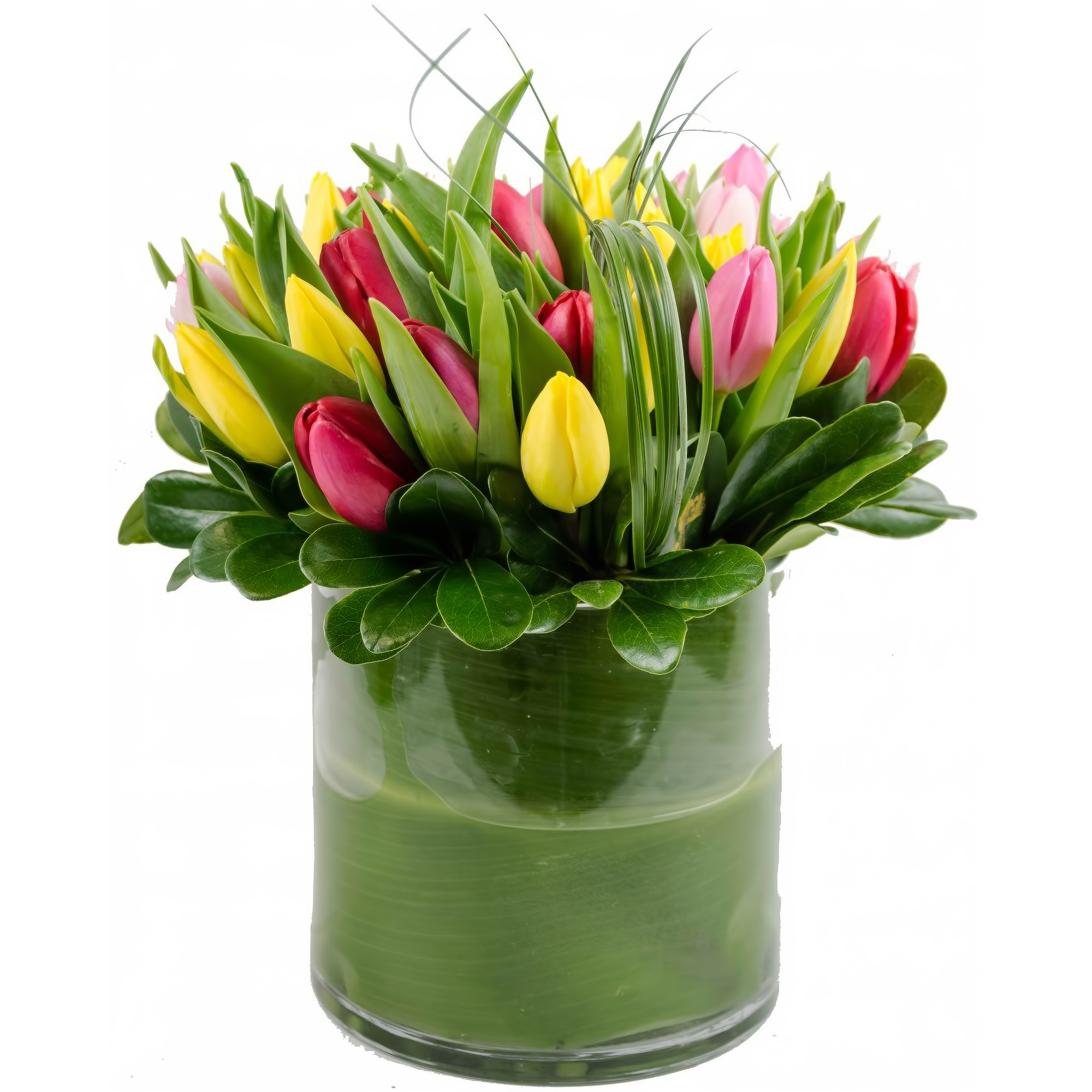 Colorful Tulip Cylinder - Occasions > Anniversary