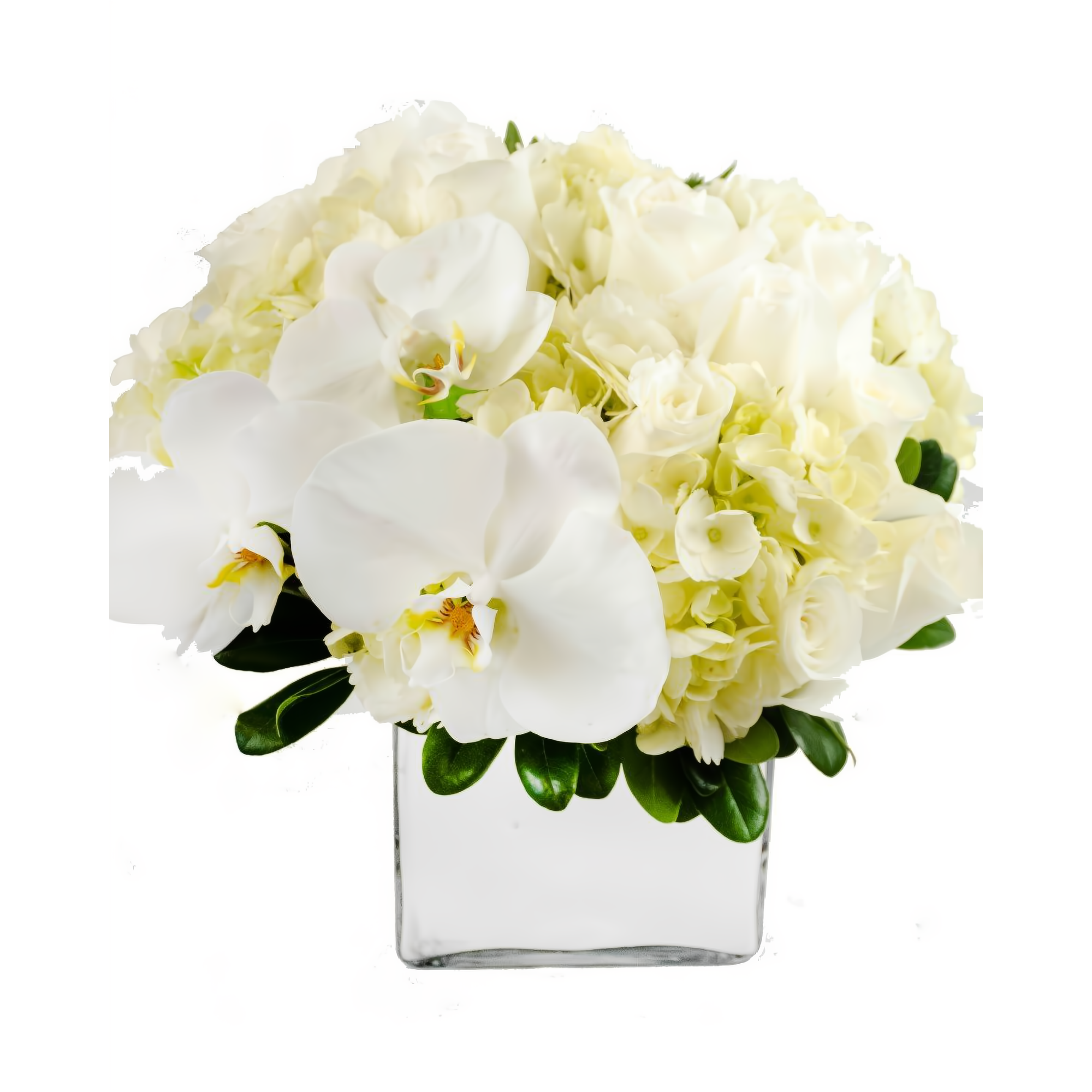 Park Avenue Luxury Bouquet - Occasions > Anniversary