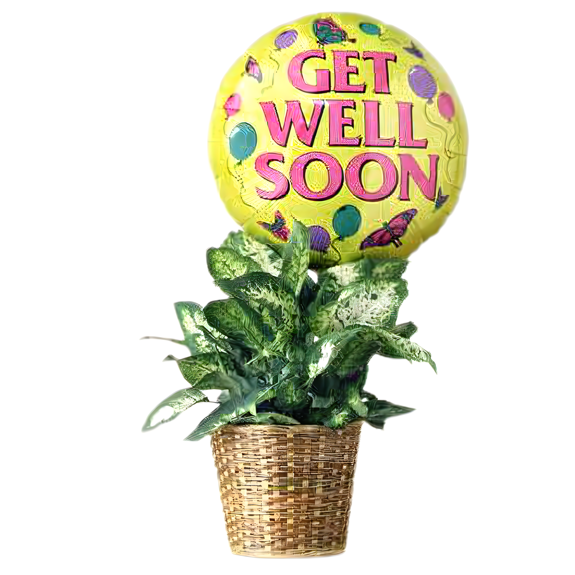 Get Well Green Plant with Balloon - Occasions > Get Well