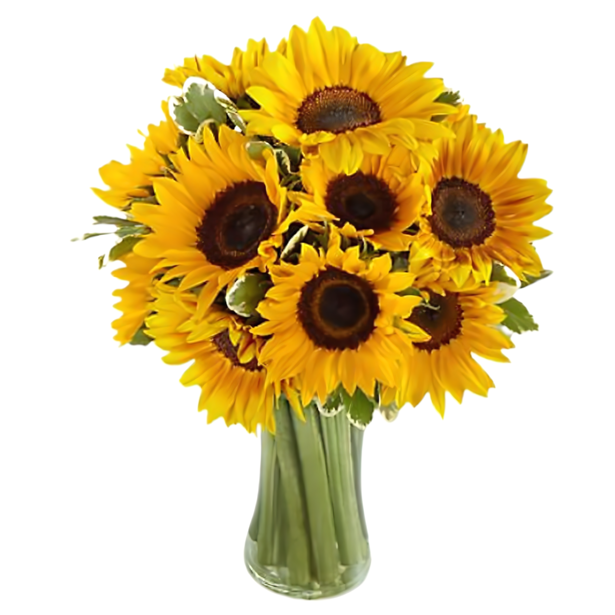 Bright Sunflower Bouquet - Occasions > Get Well