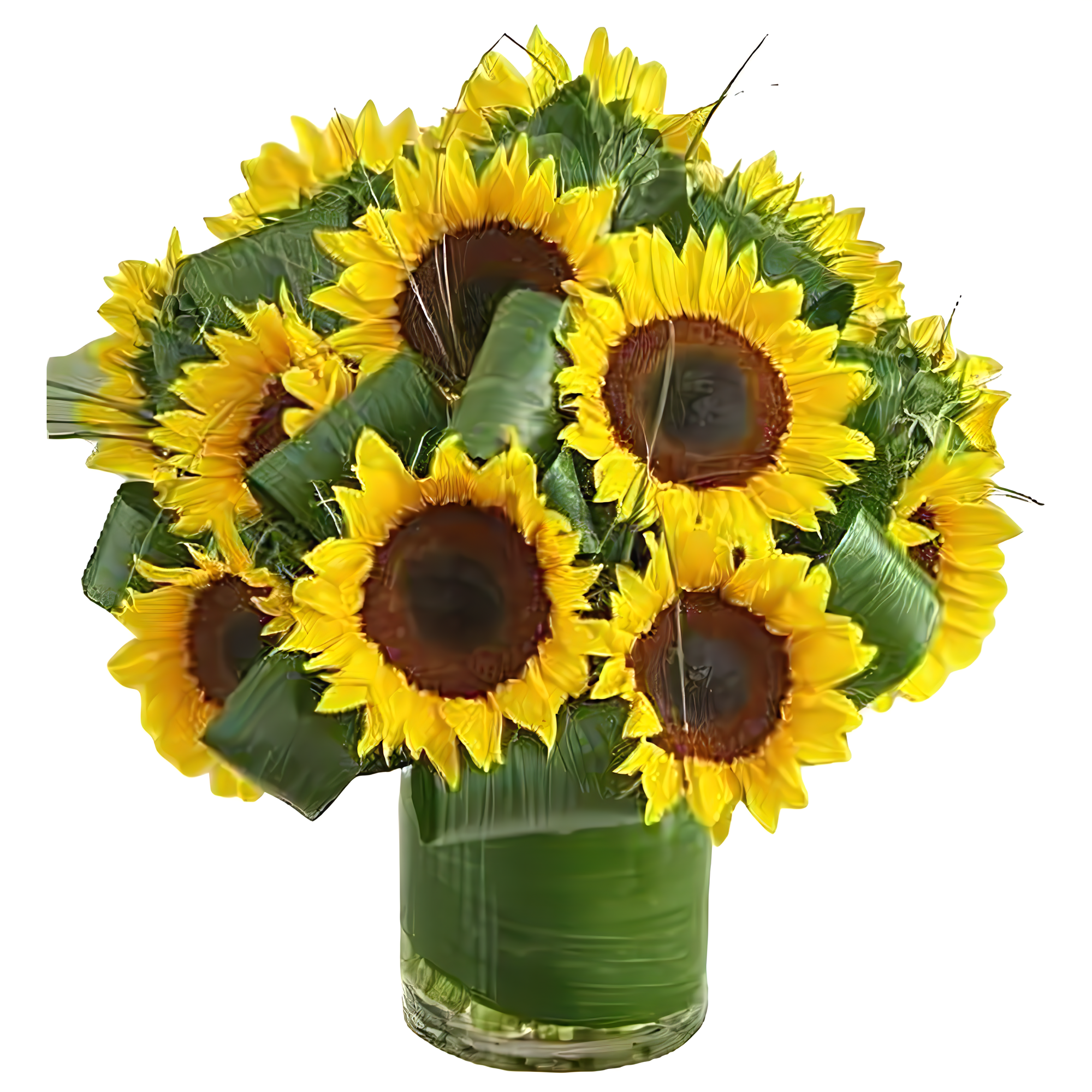 Sun-Sational Sunflowers - Products > Corporate Gifts