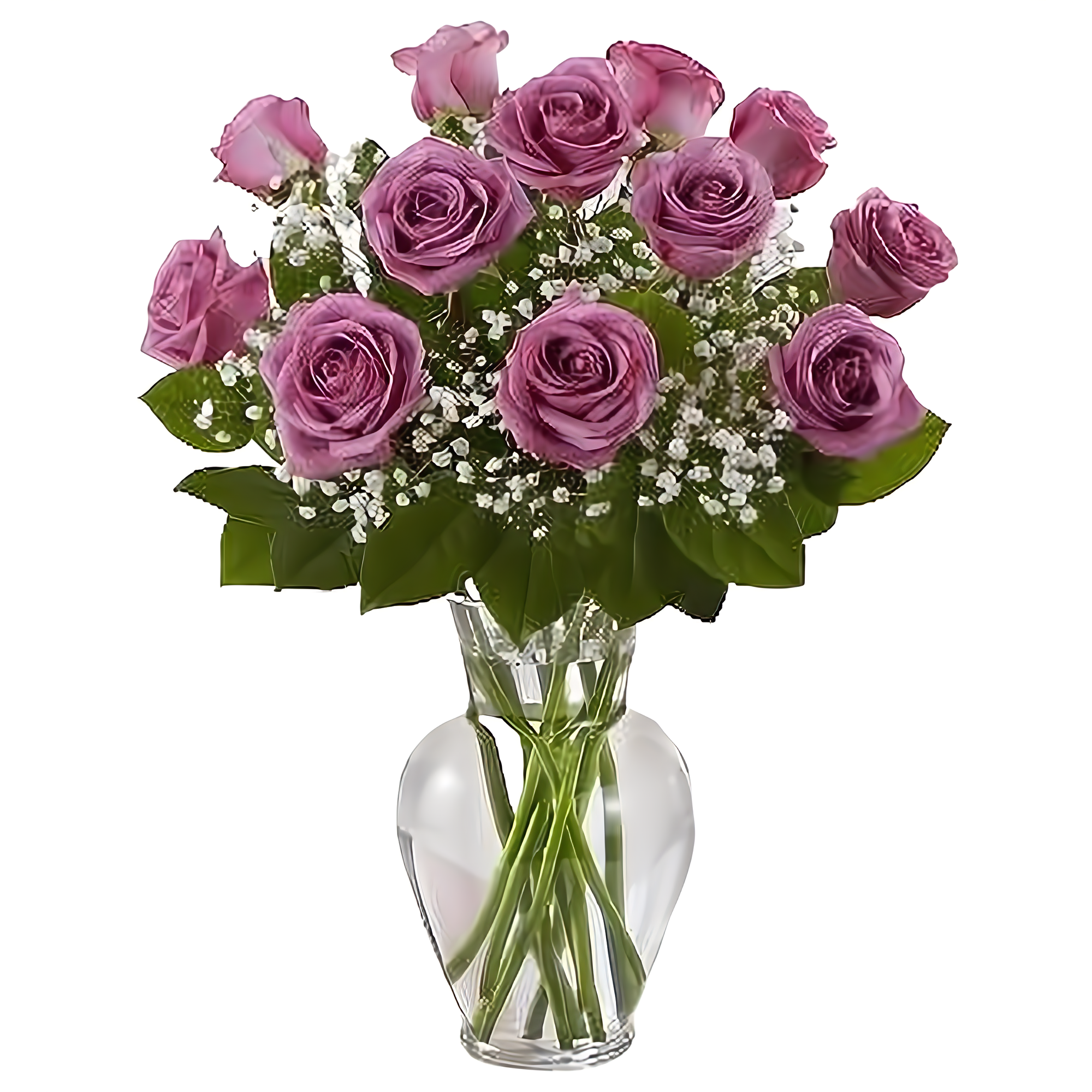 Premium Long Stem Purple Roses - Roses