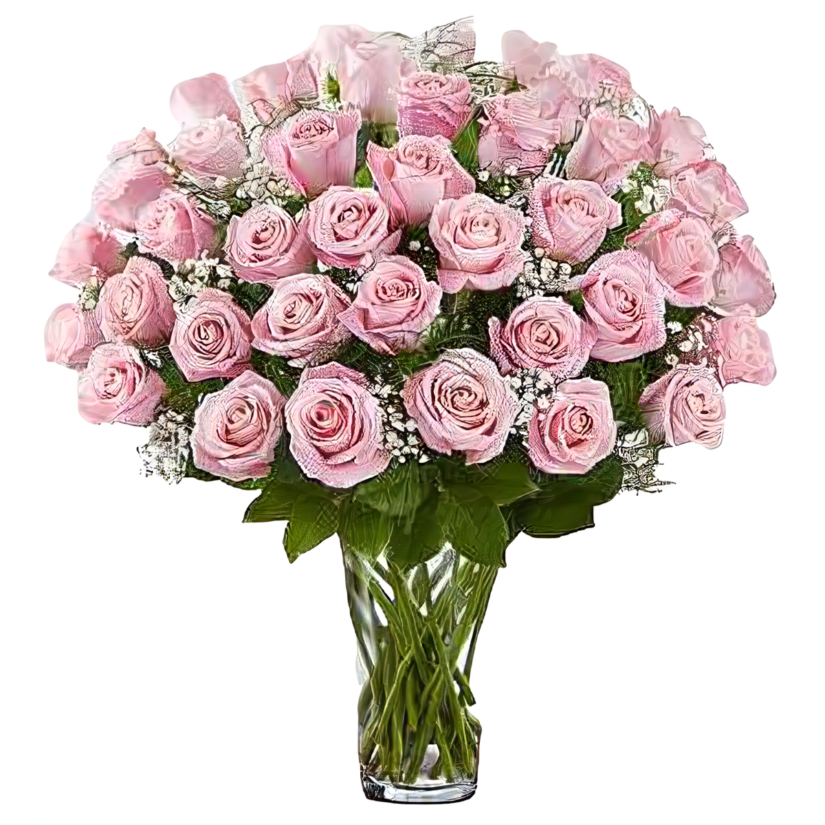 Premium Long Stem 48 Pink Roses - Roses