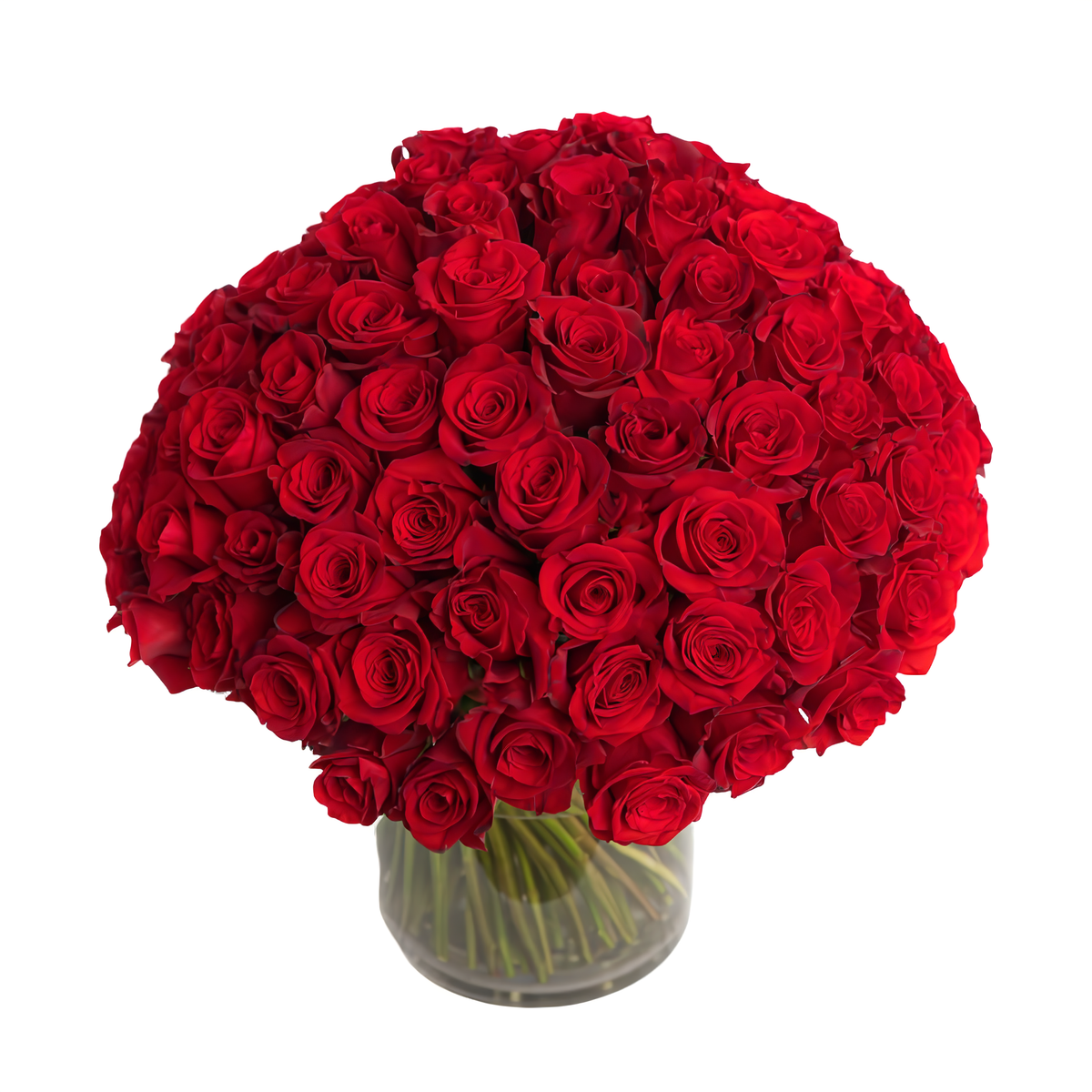 Fresh Roses in a Vase | 100 Red Roses - Roses