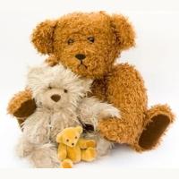 Add Plush Teddy Bear - Gifts