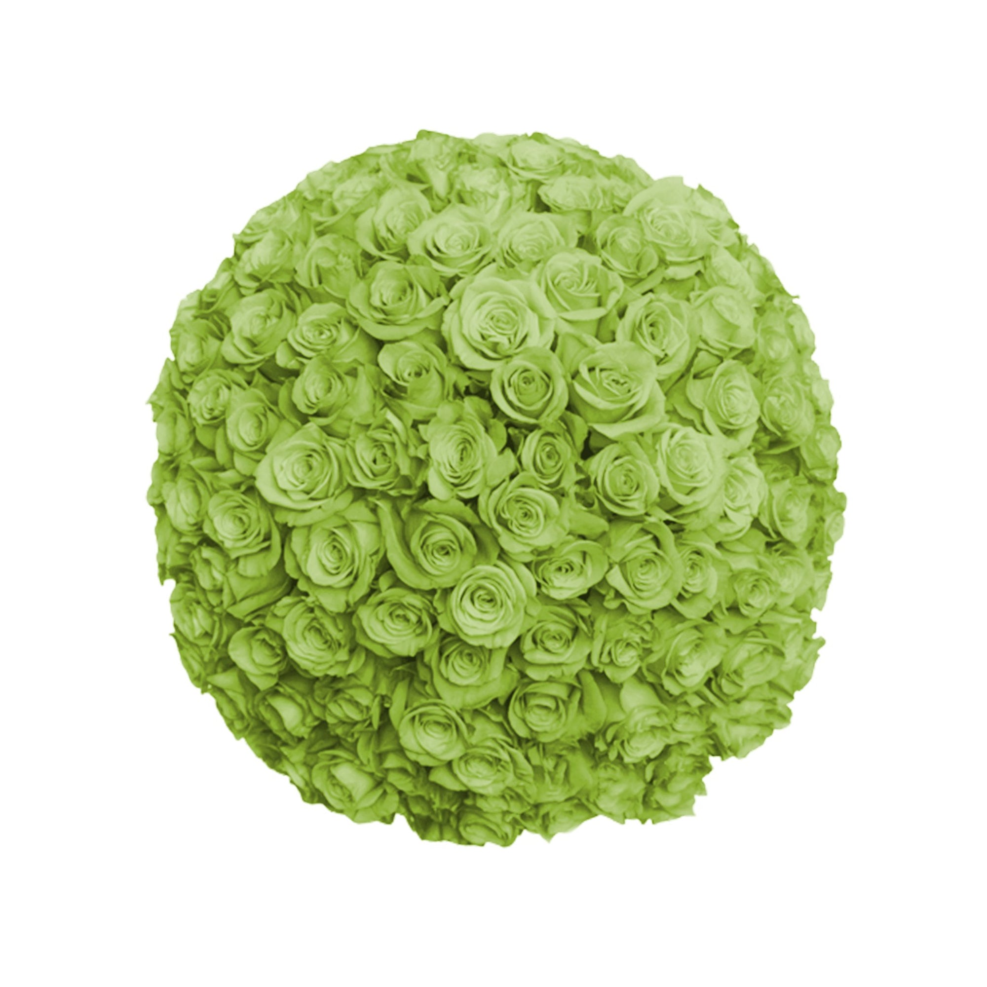 Fresh Roses in a Crystal Vase | Green - 1 Dozen - Roses