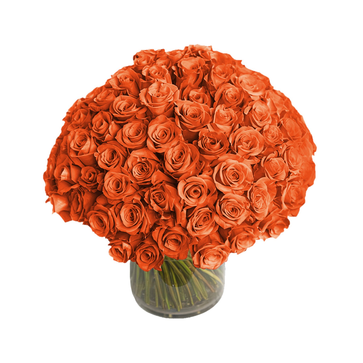 Fresh Roses in a Crystal Vase | Orange - 100 Roses - Roses