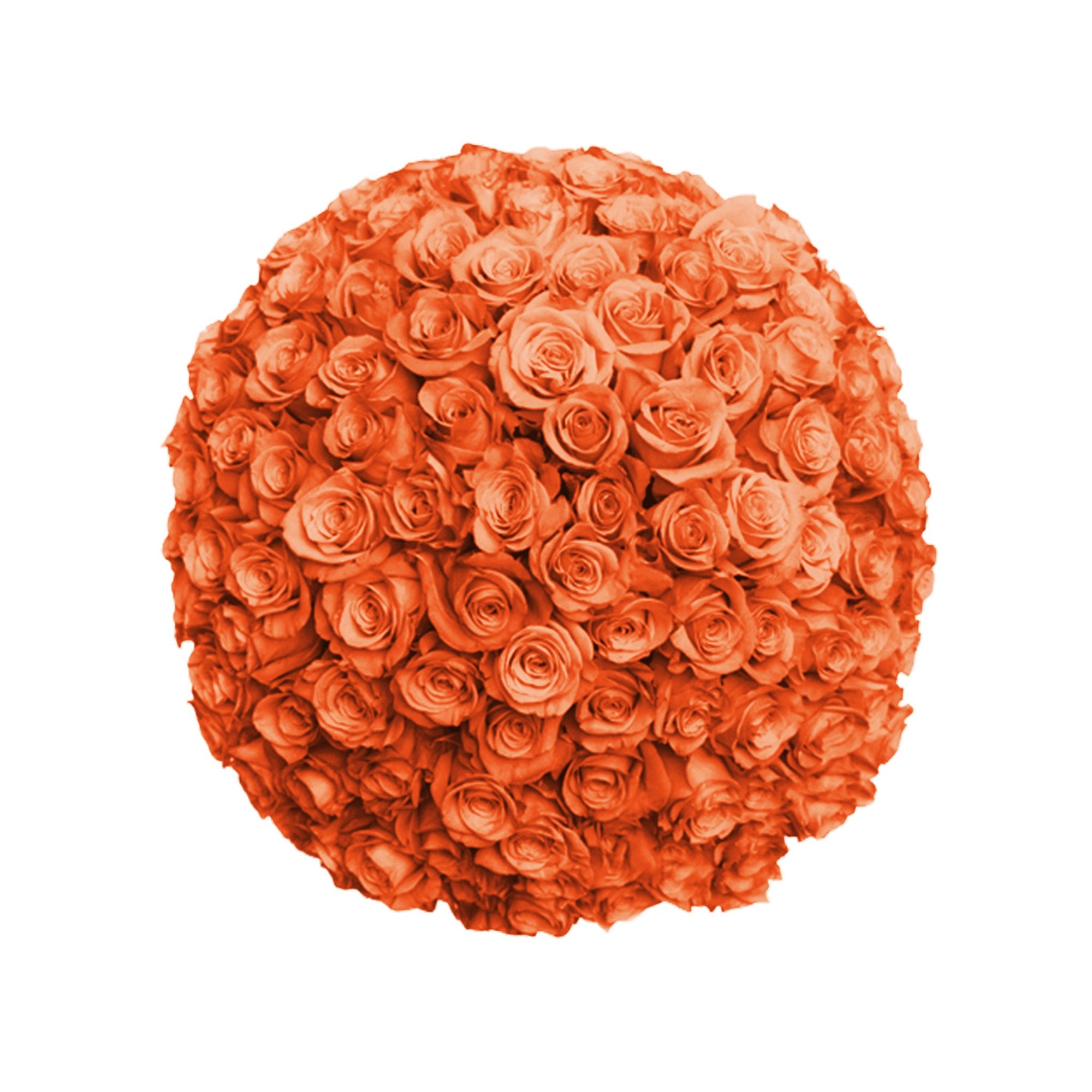 Fresh Roses in a Crystal Vase | Orange - 1 Dozen - Roses