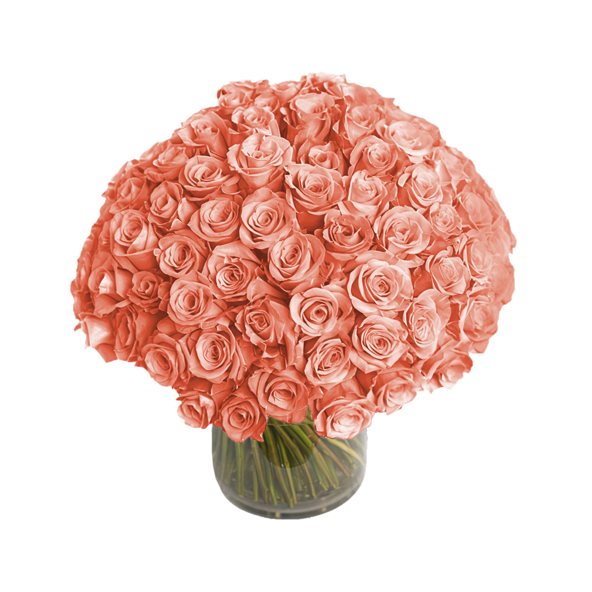 Fresh Roses in a Crystal Vase | Peach - 100 Roses - Roses