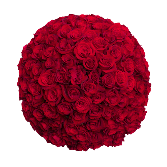 Fresh Roses in a Crystal Vase | Red - 1 Dozen - Roses