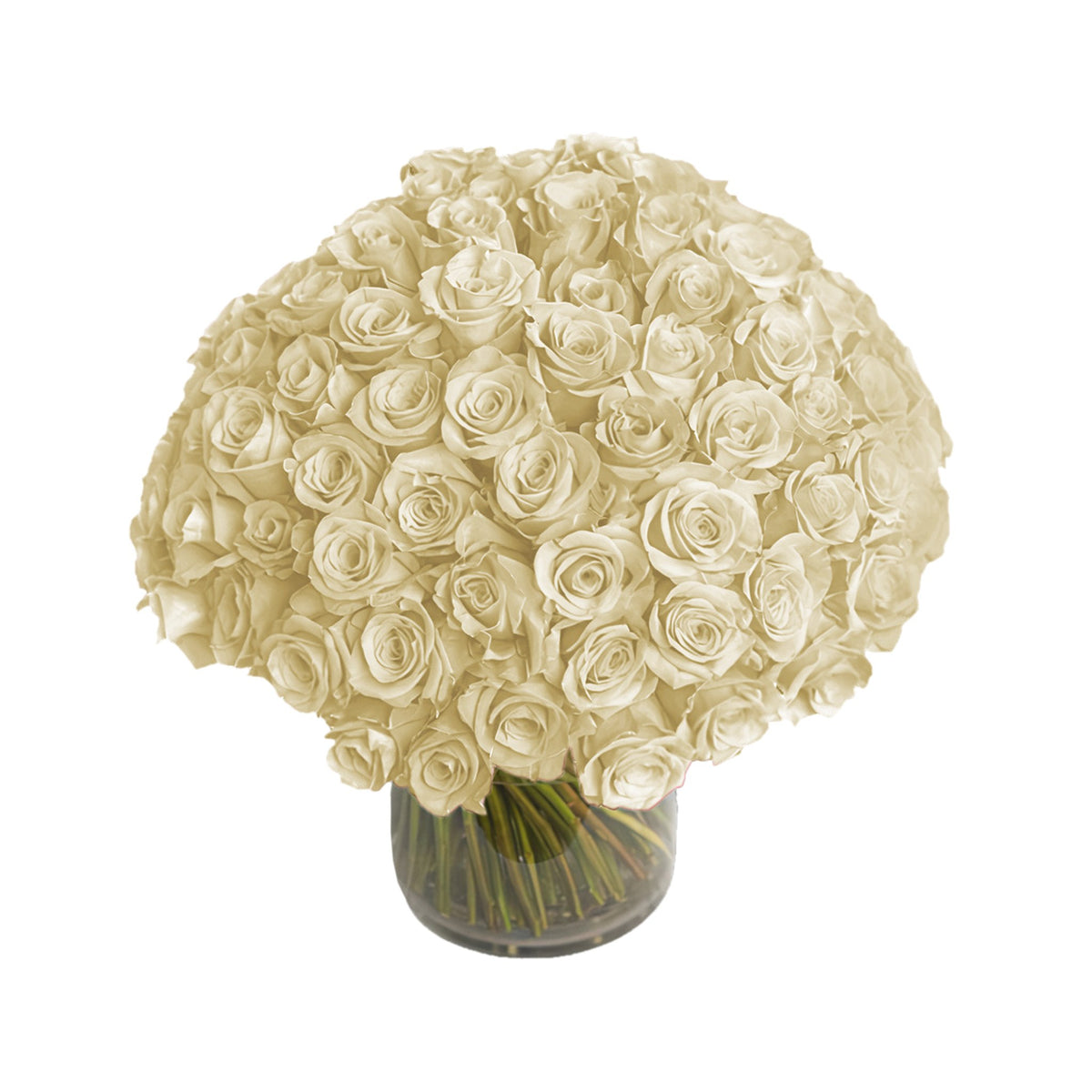 Fresh Roses in a Vase | 100 White Roses - Roses