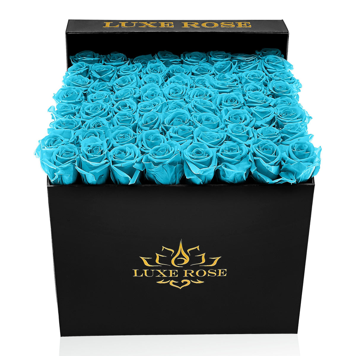 Preserved Roses Large Box | Bright Turquoise - Black - Roses