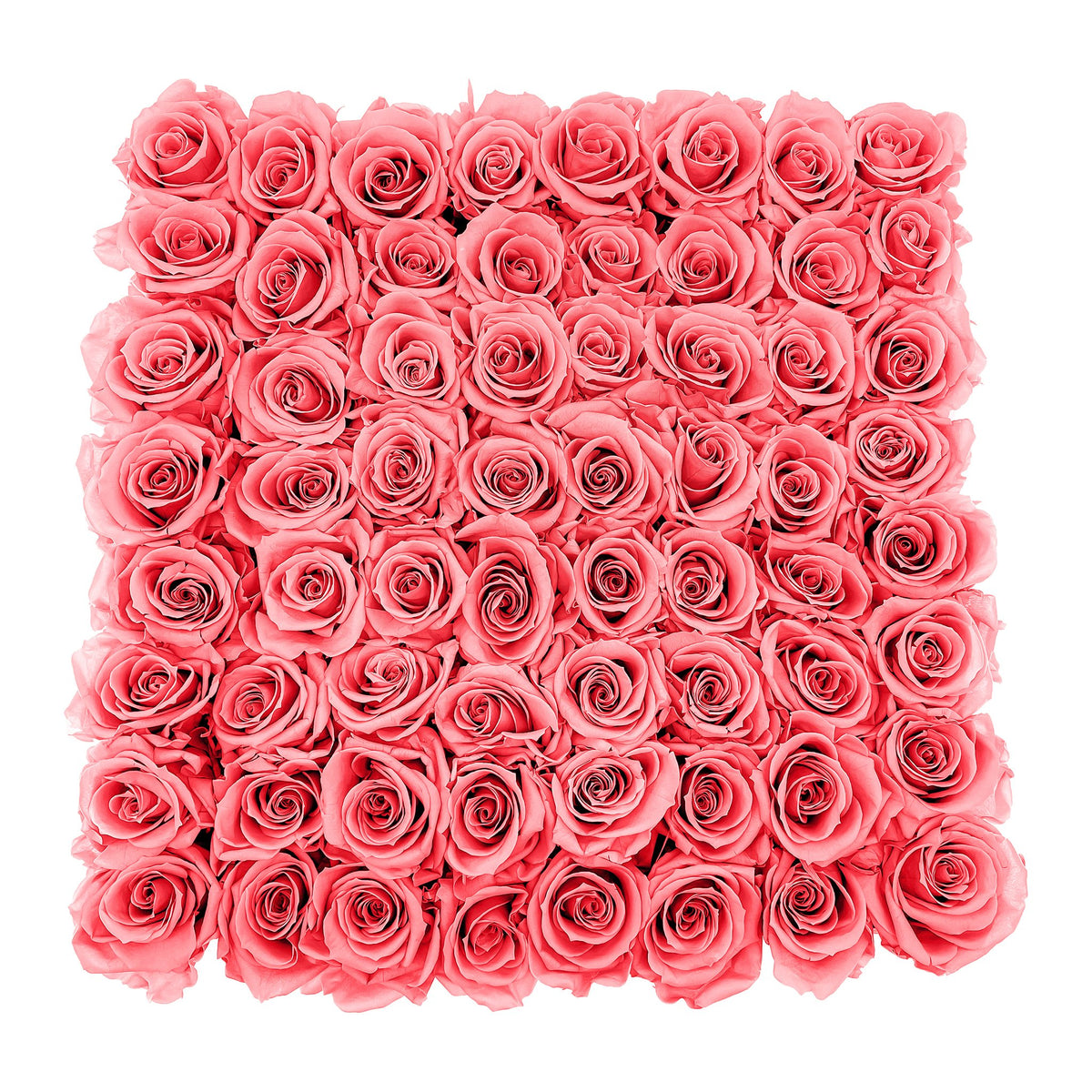 Preserved Roses Large Box | Cherry Blossom - Roses
