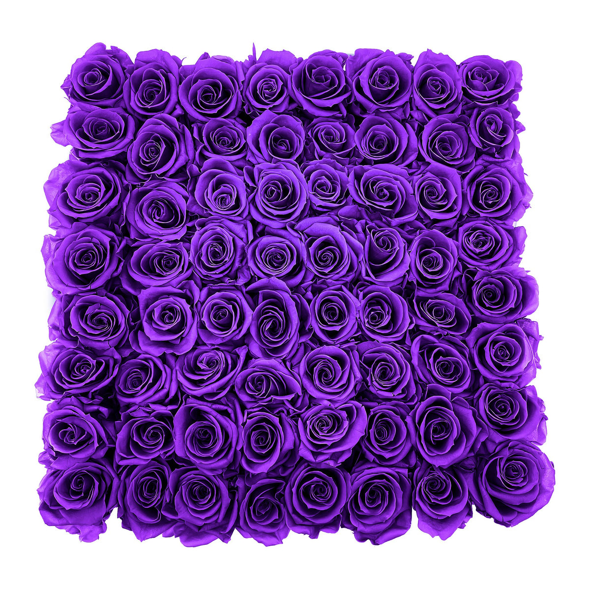 Preserved Roses Large Box | Purple - Roses