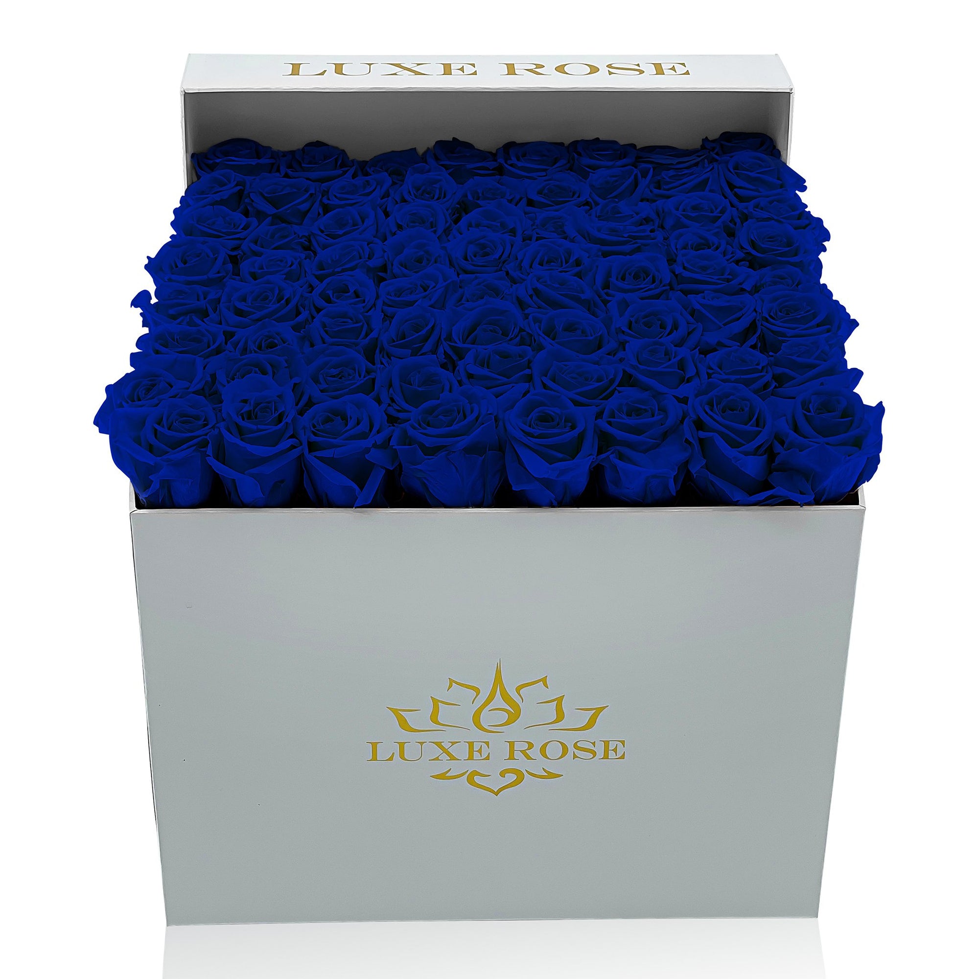 Preserved Roses Large Box | Royal Blue - White - Roses