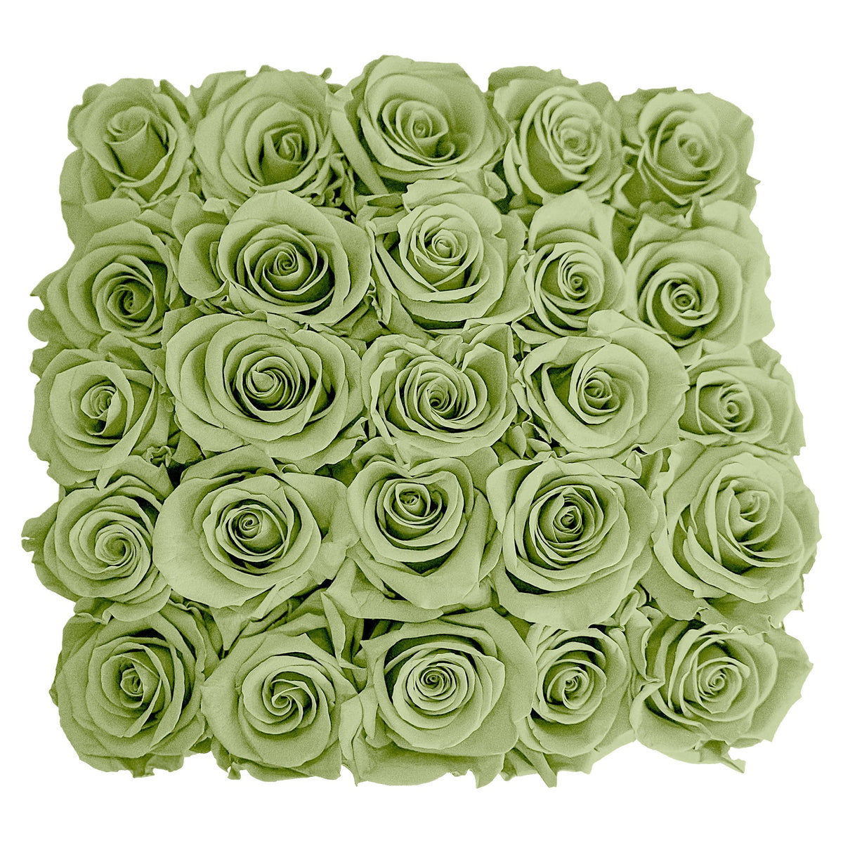 Preserved Roses Small Box | Green - Roses