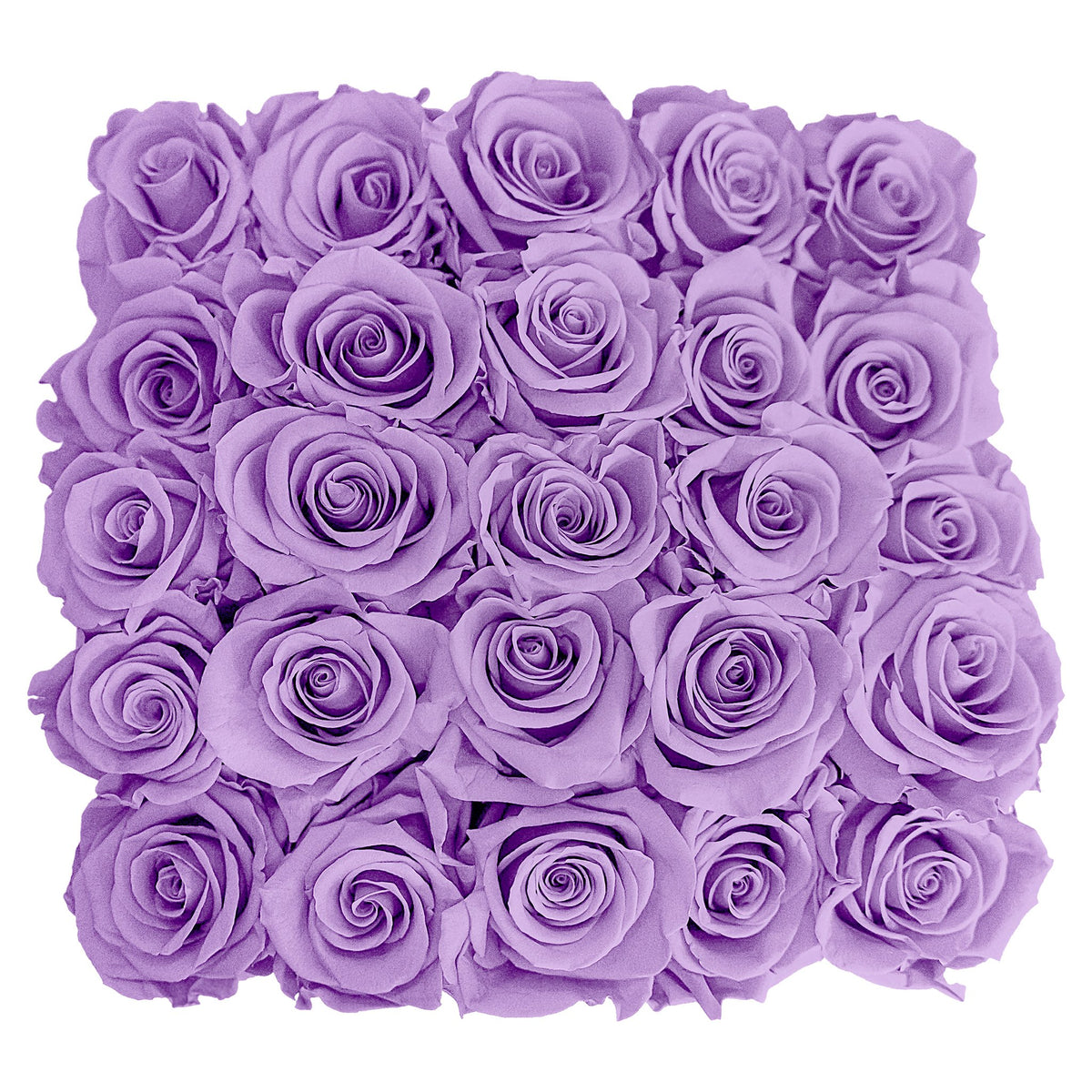 Preserved Roses Small Box | Lilac - Roses