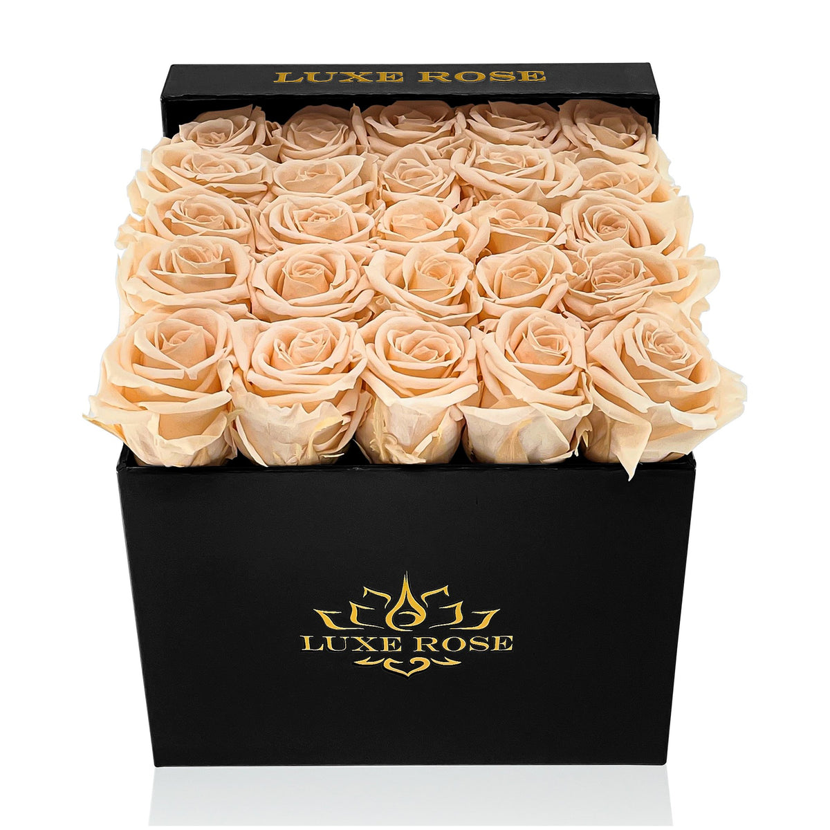 Preserved Roses Small Box | Peach - Black - Roses