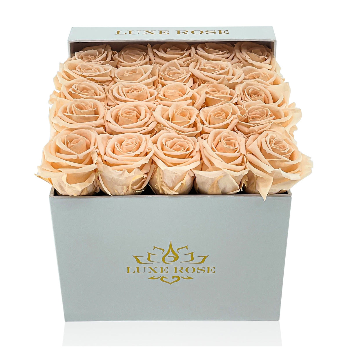 Preserved Roses Small Box | Peach - White - Roses