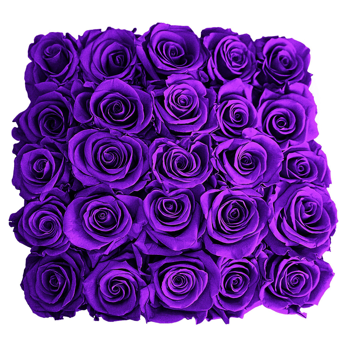 Preserved Roses Small Box | Purple - Roses